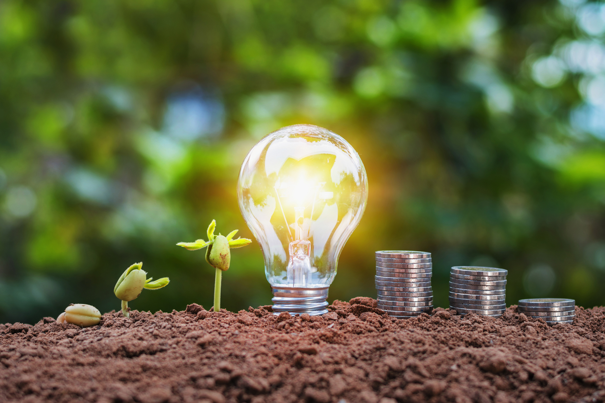 Unicorn Renewables - lampadina, investimenti, green