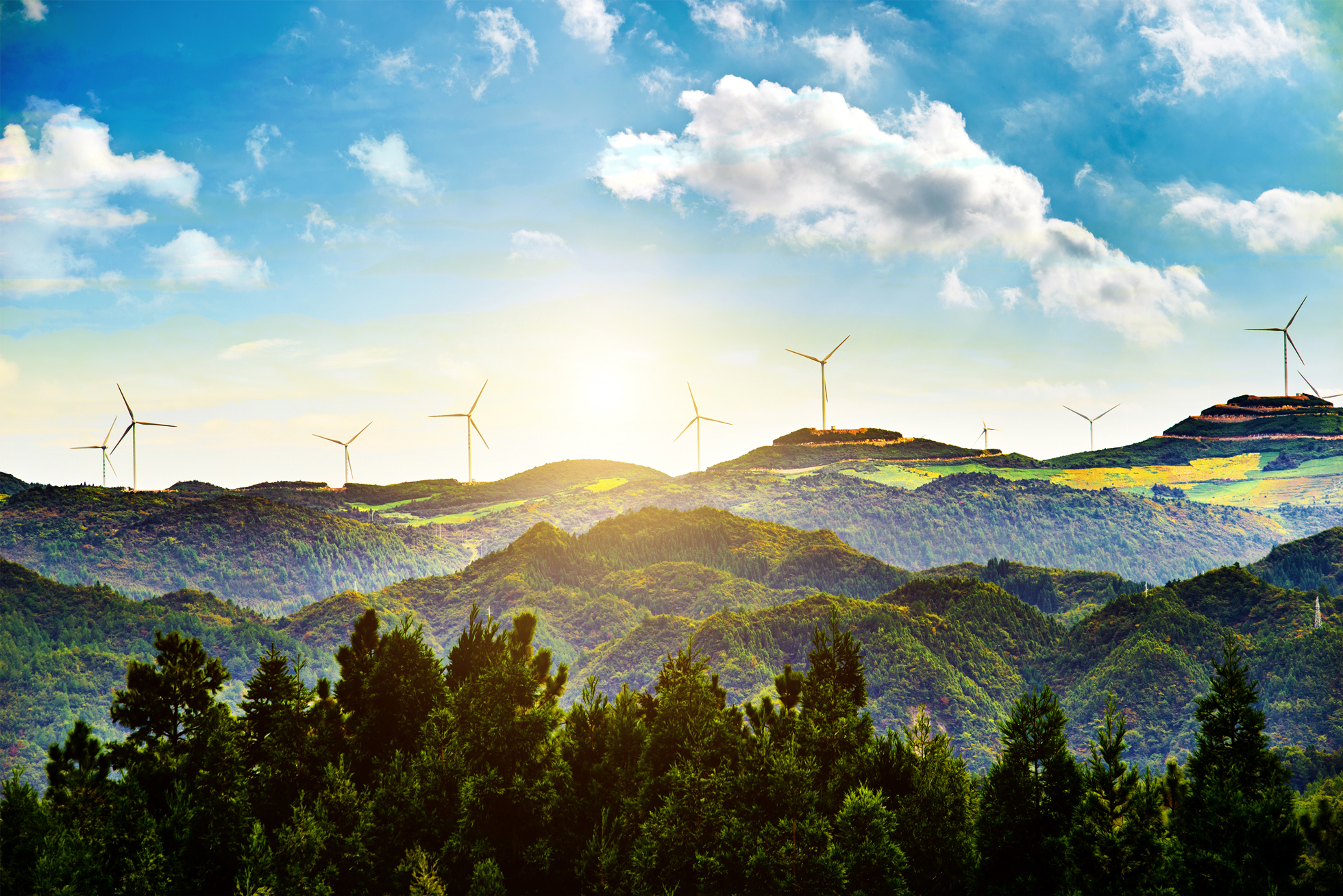 Unicorn Renewables - impianti eolici